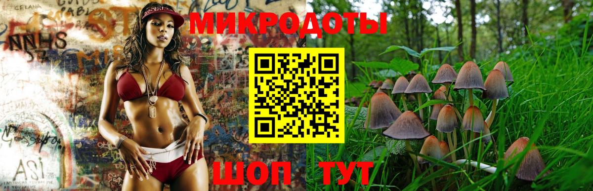 Луга  Галлюциногенные грибы прущие грибы  купить наркоту  Вход с VPN 